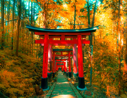 關西京阪奈小旅行
