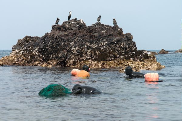 旅遊圓夢1萬就夠!濟州島機加酒2人行