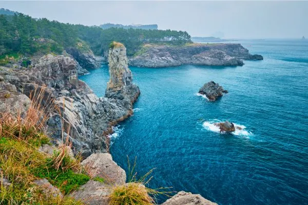 濟遊濟在5天