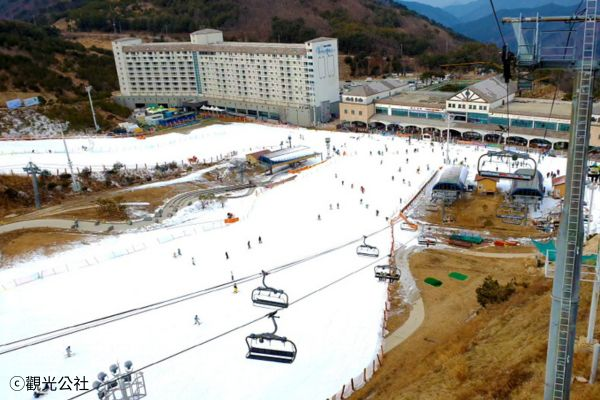釜山冰紛樂5天
