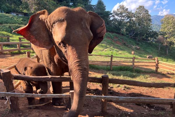 【耀馬迎春】泰北耀新春６天