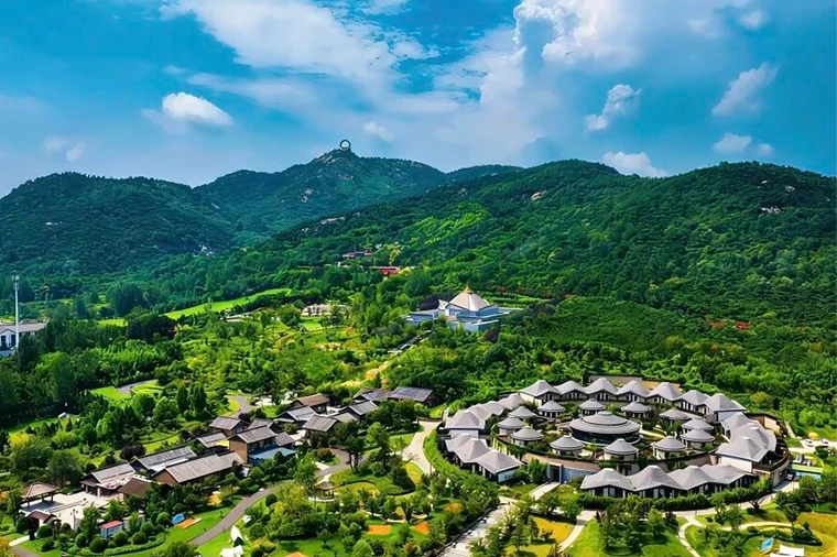 金陵來魯 ◆ 做客山東8天