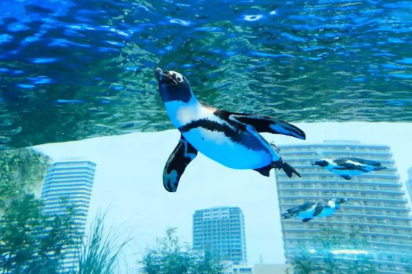 【愛自由】東京4人同行贈迪士尼門票