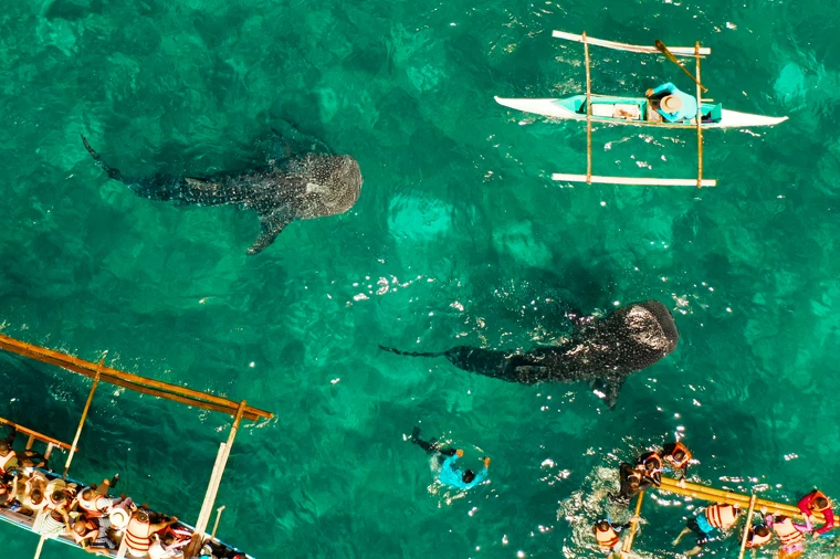 【愛自由】宿霧機加酒