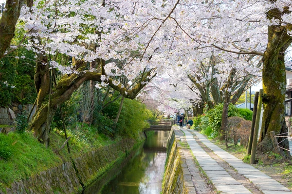 《日本》京都哲學之道