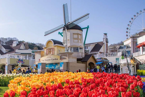 《韓國》愛寶樂園花季
