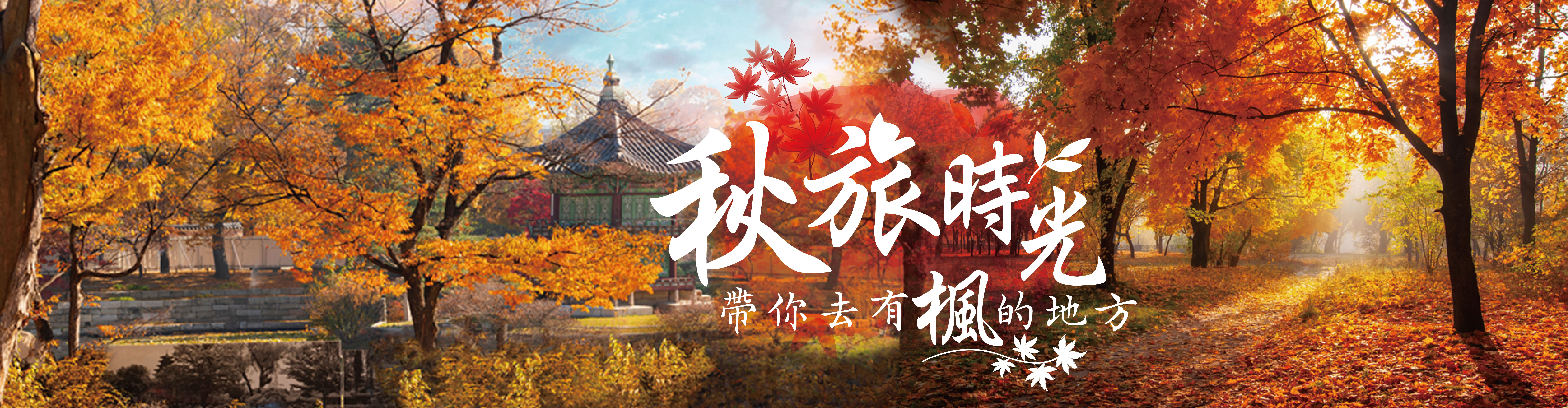 2026秋天旅遊 賞楓 韓國螃蟹 飛揚旅遊 南部出發首選