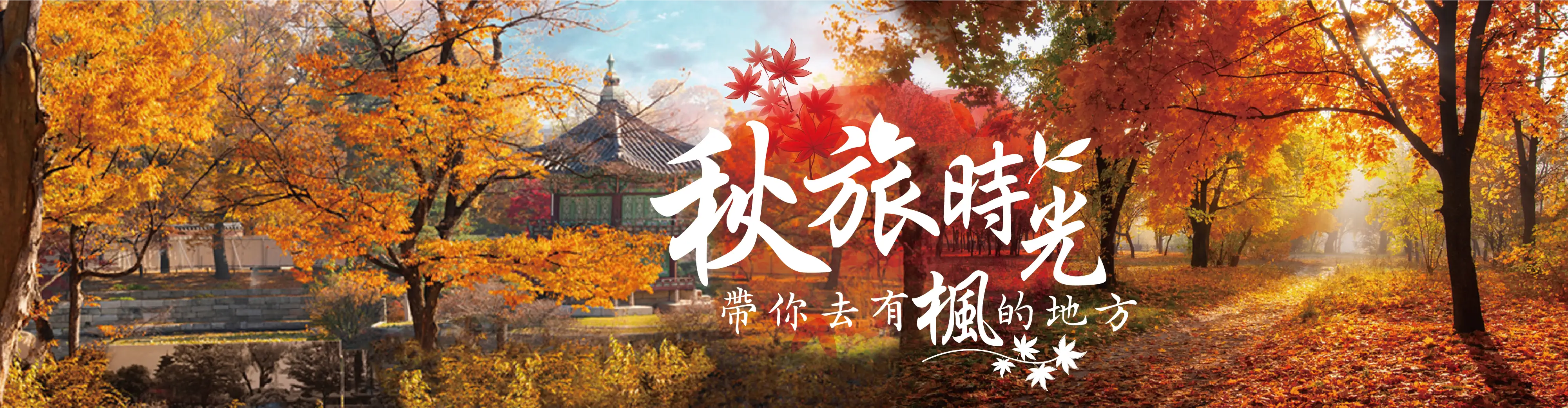 2026秋天旅遊 賞楓 韓國螃蟹 飛揚旅遊 南部出發首選