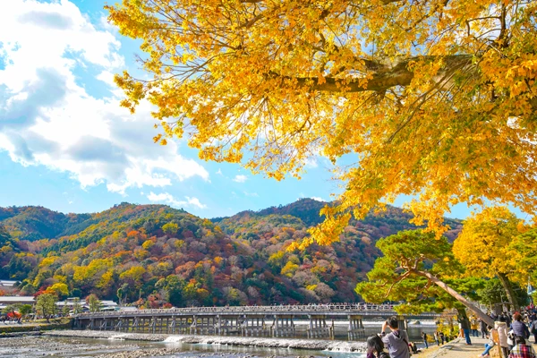 《日本》嵐山 ◆ 渡月橋