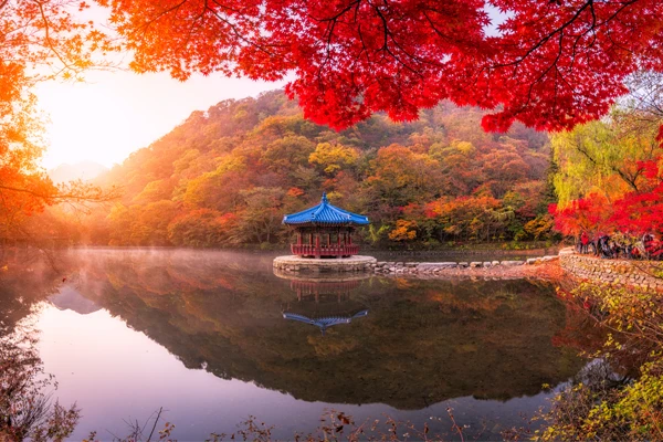 《韓國》全州 ◆ 內藏山