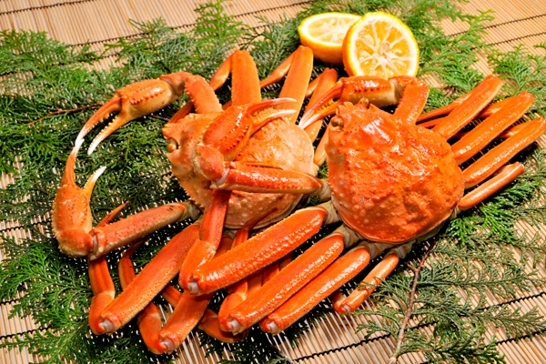 《韓國》食慾之秋