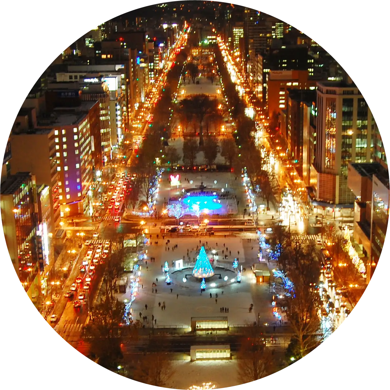 〈日本〉札幌白色燈樹節