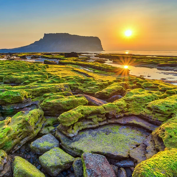從高雄直飛擁有多元自然景致的濟州島，是韓國最大的島嶼，享受大自然的療育及受各種當地的文化特色。